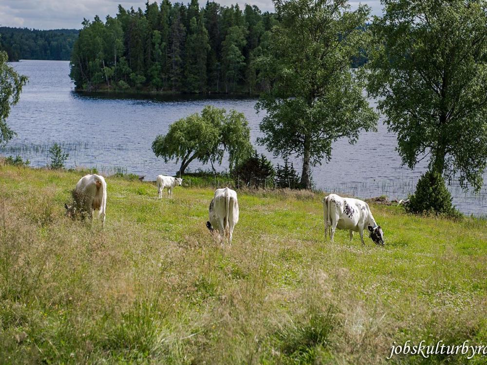 Visit the animals at Stora Lunån