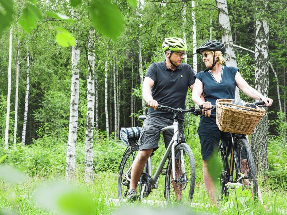 2 people who stopped with the bikes in a birch forest.