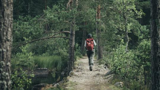 Kvinna vandrar i skogen i Dalarna.
