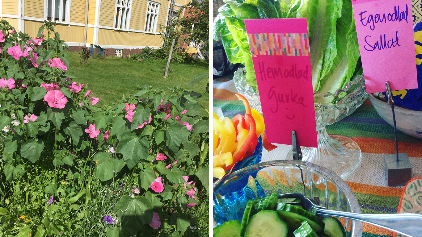 Blomstrande trädgård och frukostbuffé hos Tre Björnar Vandrarhem i Älvdalen.